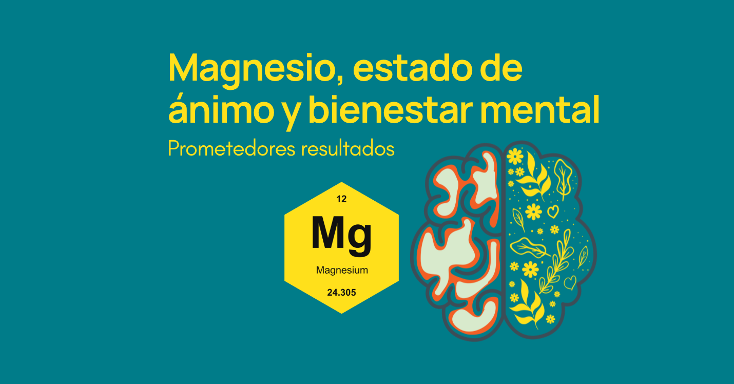 Nmda y outlet magnesio