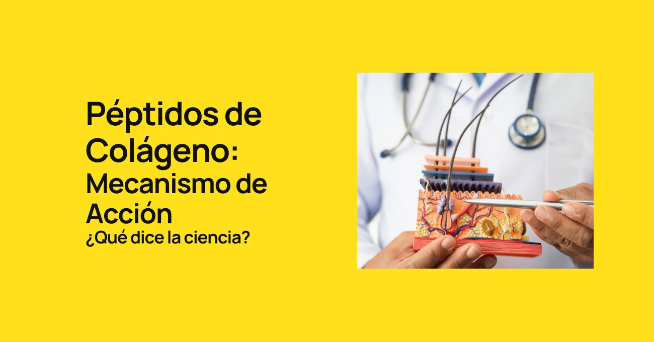 Cómo Actúa el Colágeno en tu Piel